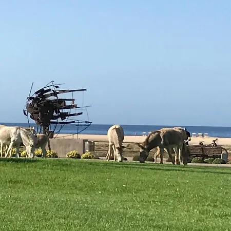 Holamigos Apartamento